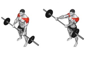 Are barbell front raises good?