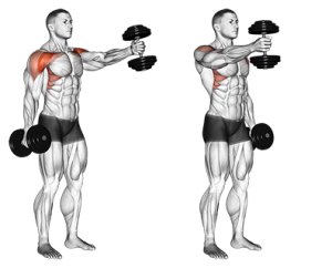 Improves shoulder stability