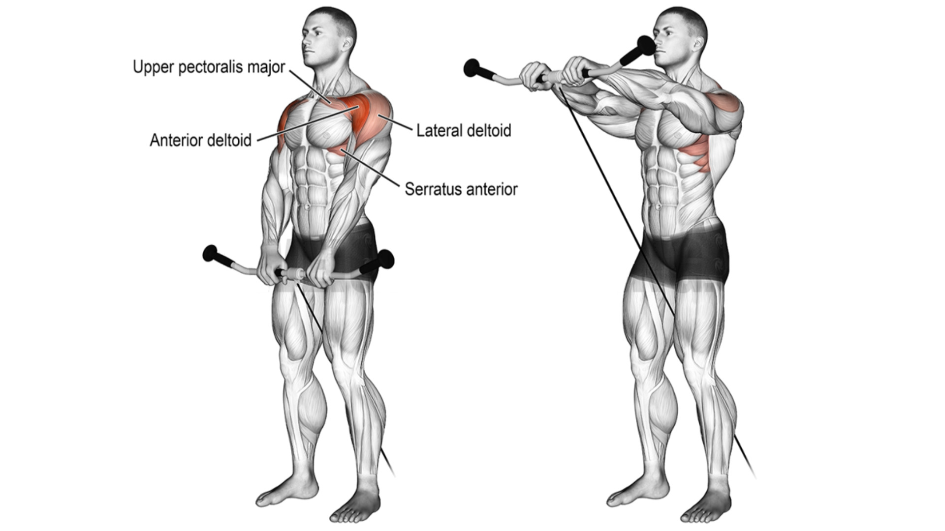 How To Train Shoulders With Frontal Raises | Barbell Front Raise