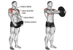 How to Train Shoulders With Frontal Raises