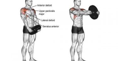 How to Train Shoulders With Frontal Raises