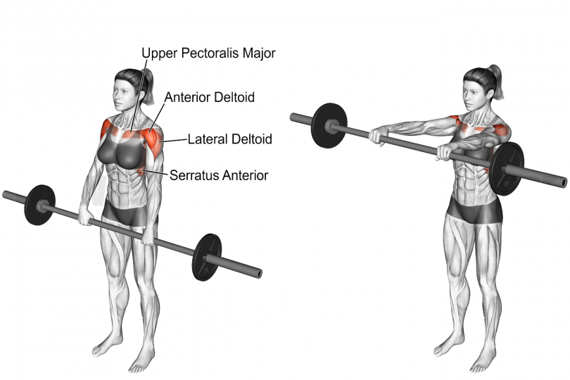What does barbell front raise do?