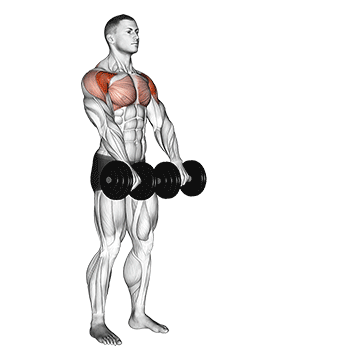 How to Perform Front Raises Correctly