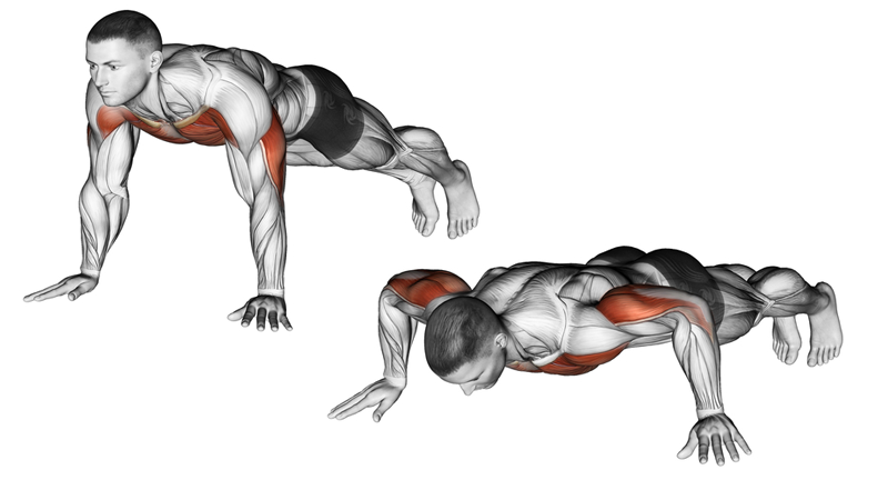 push ups chest workout
